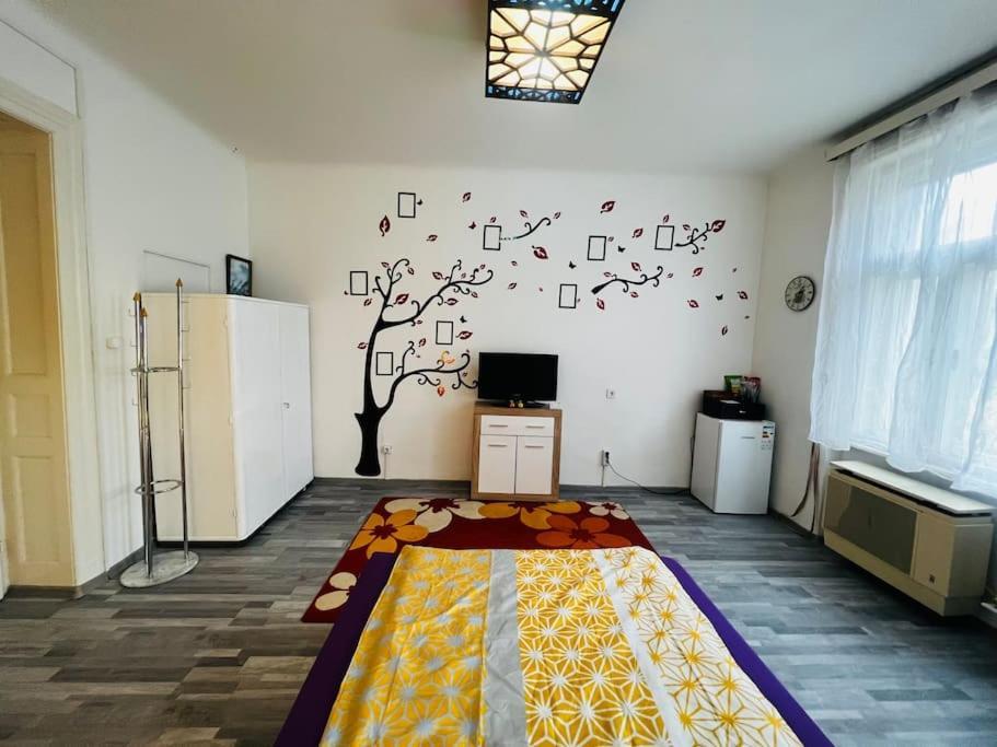 Szeged Apartment 외부 사진